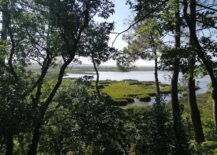 Maison Style A 150m Du Bassin Dom wakacyjny *